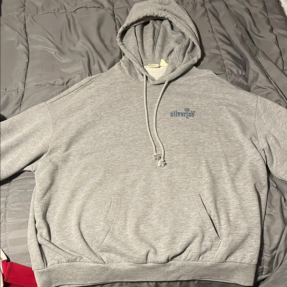 Silver Jeans Gray Hoodie for Men